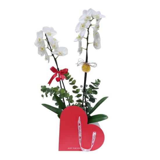 Çift Dal Beyaz Orkide Özel Kırmızı Kalp Çanta Kutu İçerisinde 